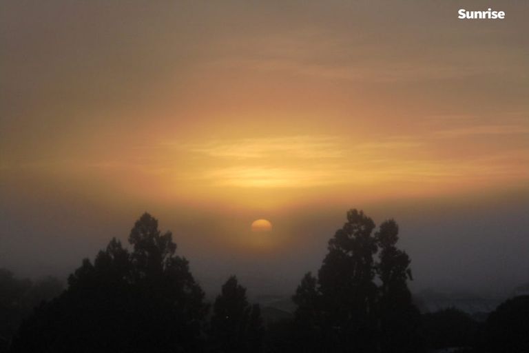 Photo of property in 51 Ellicott Road, Nawton, Hamilton, 3200