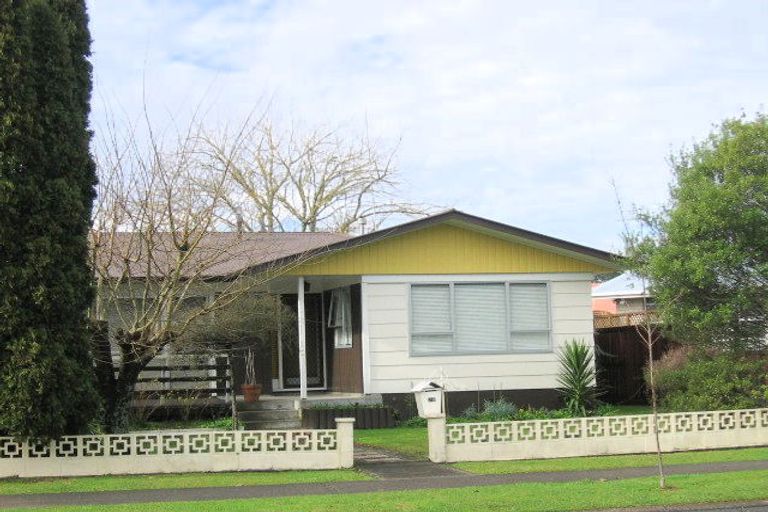 Photo of property in 20 Caernarvon Street, Dinsdale, Hamilton, 3204