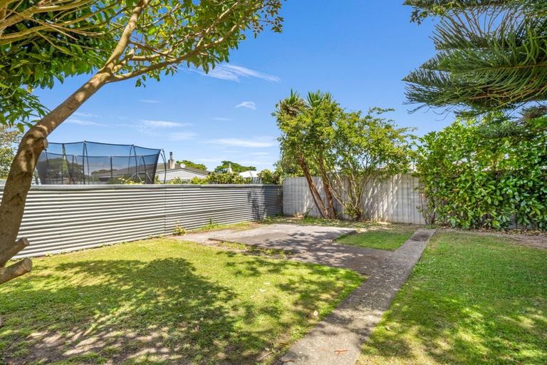Photo of property in 48 Wood Street, Takaro, Palmerston North, 4410