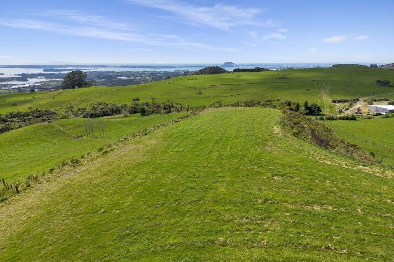 Photo of property in 596a Minden Road, Minden, Tauranga, 3176
