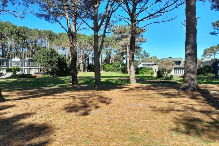 Photo of property in 790 Matarangi Drive, Matarangi, Whitianga, 3592