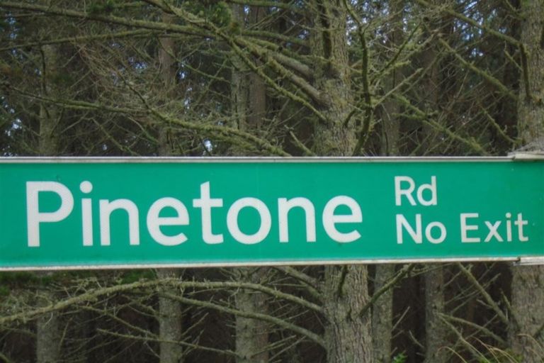 Photo of property in 43a Pinetone Road, Kumeu, 0892