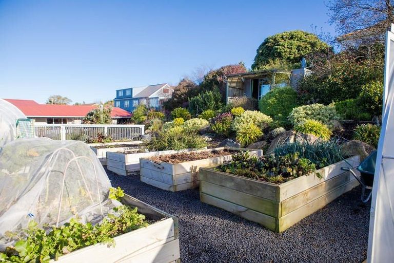 Photo of property in 151 Tomahawk Road, Andersons Bay, Dunedin, 9013