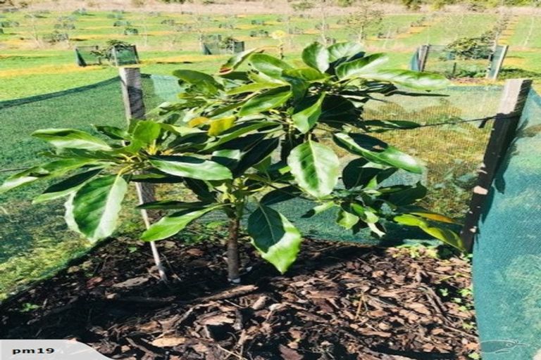 Photo of property in 1449 State Highway 14, Maungatapere, Whangarei, 0179