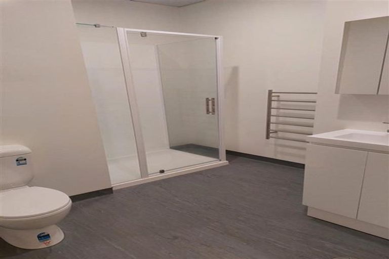 Photo of property in Te Kainga, 195 Willis Street, Te Aro, Wellington, 6011