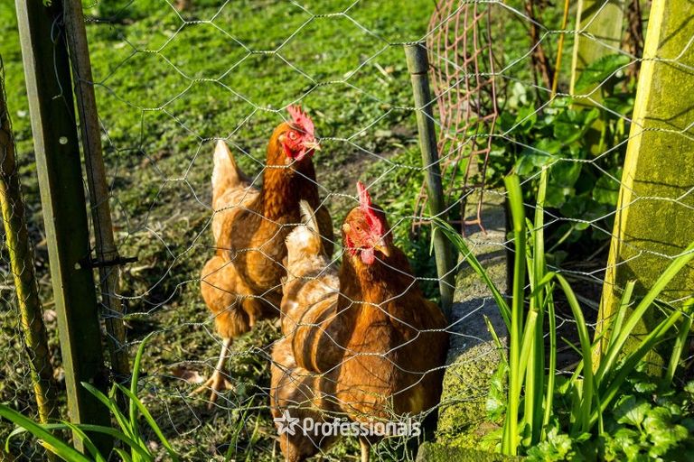 Photo of property in 49 Elmslie Road, Pinehaven, Upper Hutt, 5019