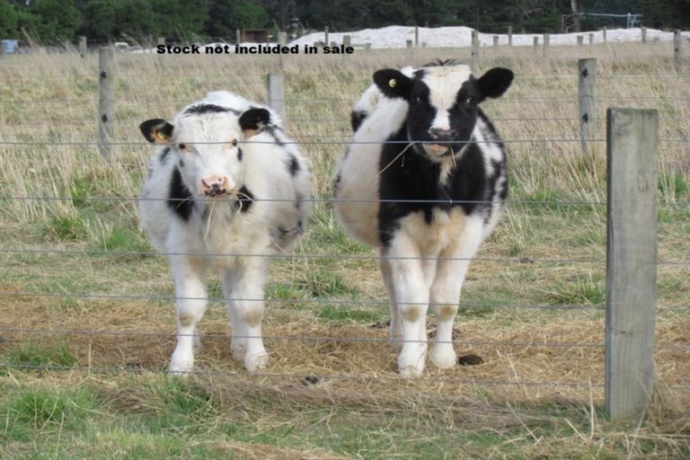 Photo of property in 250 Browns Rock Road, Burnt Hill, Oxford, 7495