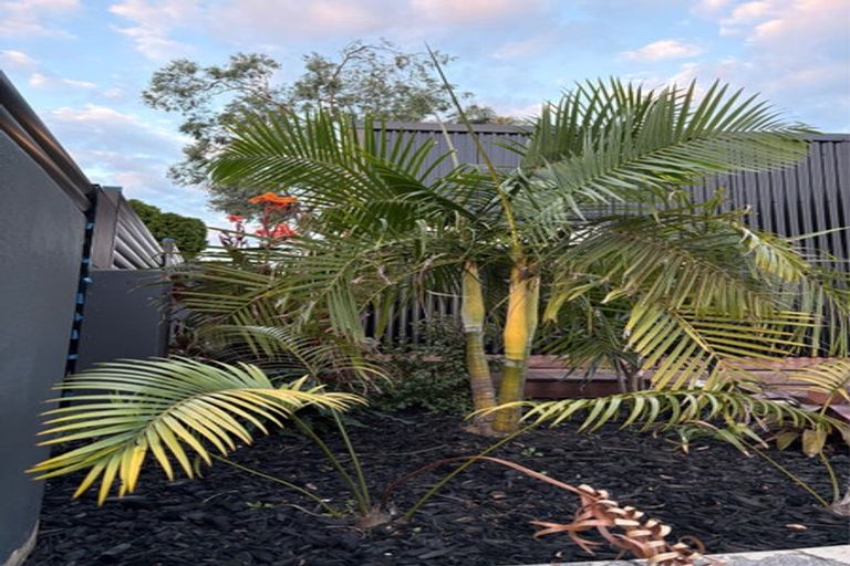 Photo of property in 4 Taylor Street, Ohauiti, Tauranga, 3112