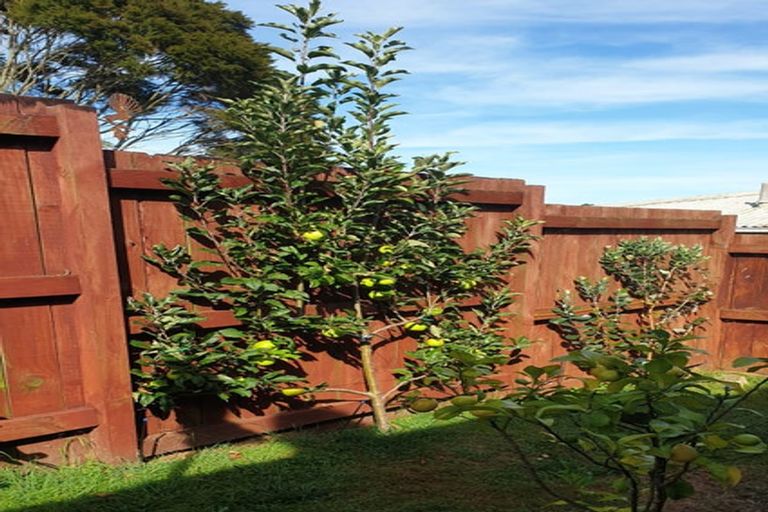 Photo of property in 1 Sunnyhills Avenue, Glenview, Hamilton, 3206