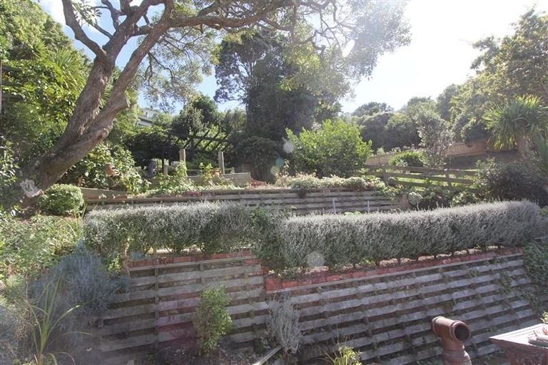 Photo of property in 76 Rakau Road, Hataitai, Wellington, 6021