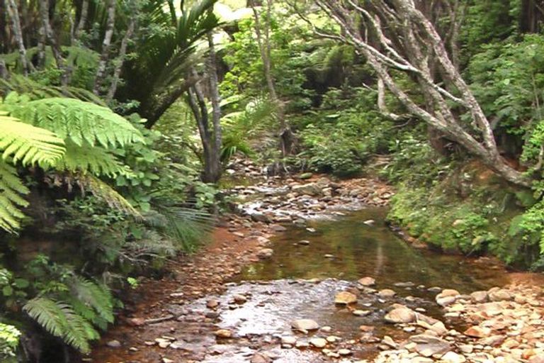 Photo of property in 219 Sailors Grave Road, Pumpkin Hill, Whitianga, 3591