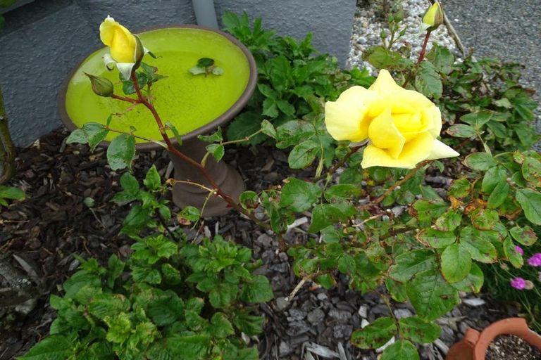 Photo of property in 3/25 Elgin Street, Grasmere, Invercargill, 9810