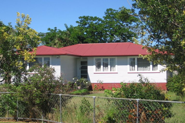 Photo of property in 17 Kuaka Place, New Lynn, Auckland, 0600