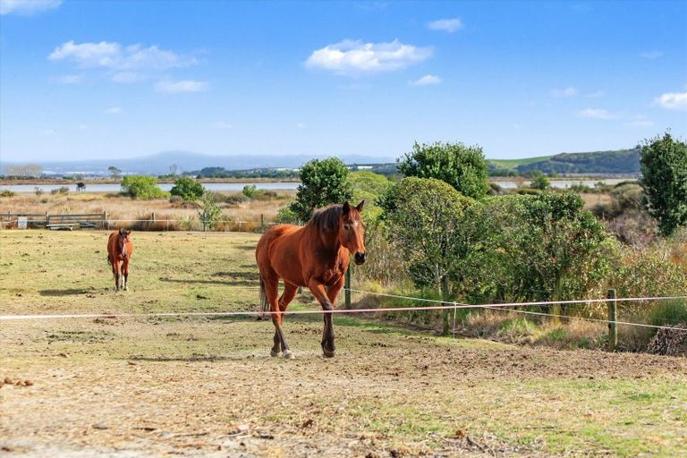 Photo of property in 564a Pukehina Parade, Pukehina, Te Puke, 3189