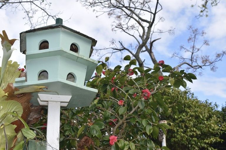 Photo of property in 305 Kuranui Street, Thames, 3500