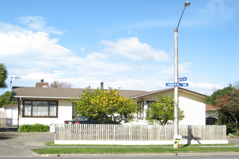Photo of property in 102 Harold Holt Avenue, Pirimai, Napier, 4112