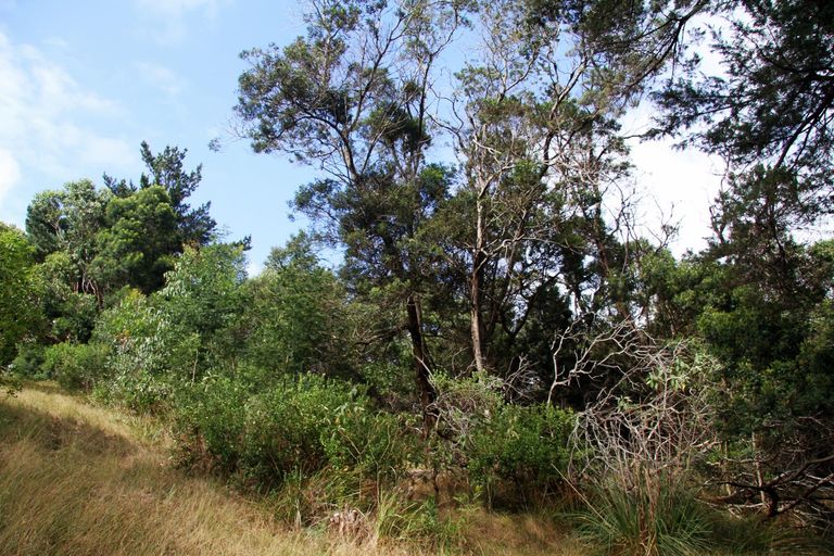 Photo of property in 63 Trig Road, Houhora, Kaitaia, 0484