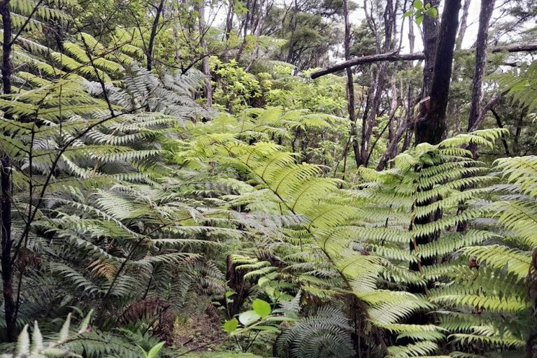 Photo of property in 18 Kawhina Lane, Kuaotunu, Whitianga, 3592