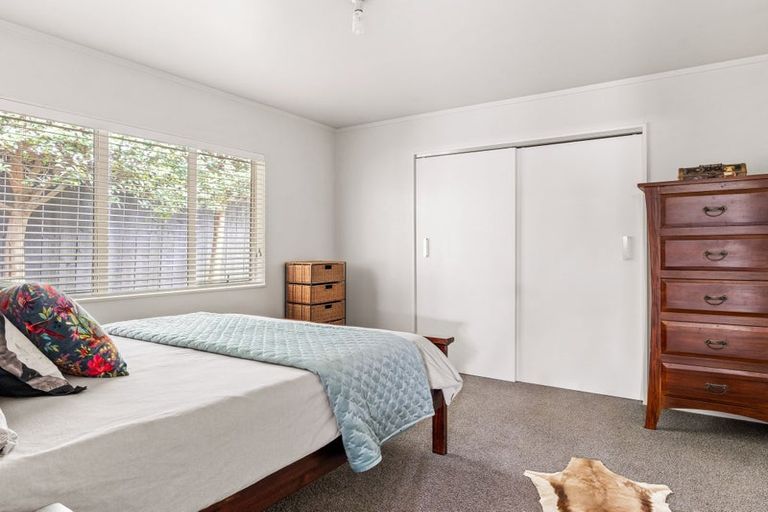 Photo of property in 291 Ormond Road, Mangapapa, Gisborne, 4010