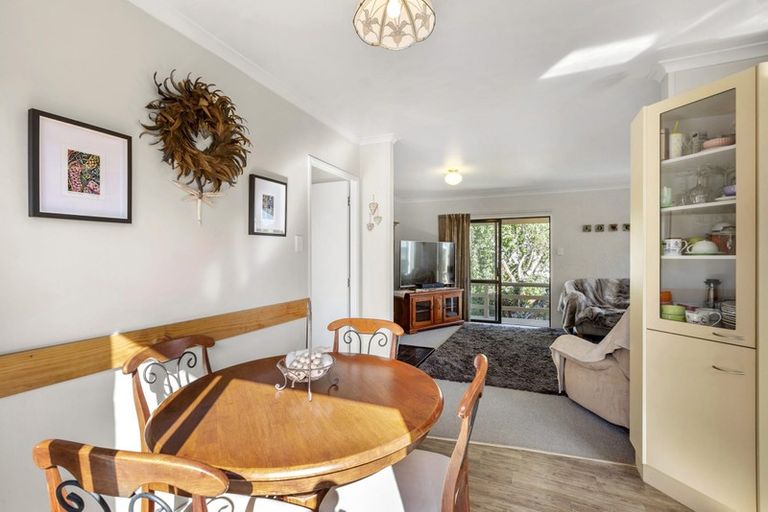 Photo of property in 41 Hibiscus Avenue, Hamilton Lake, Hamilton, 3204