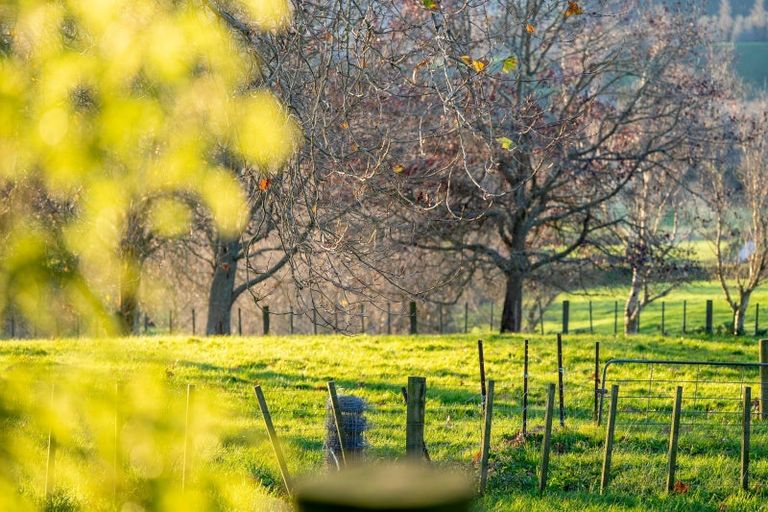 Photo of property in 192 Karapiro Road, Karapiro, Cambridge, 3496