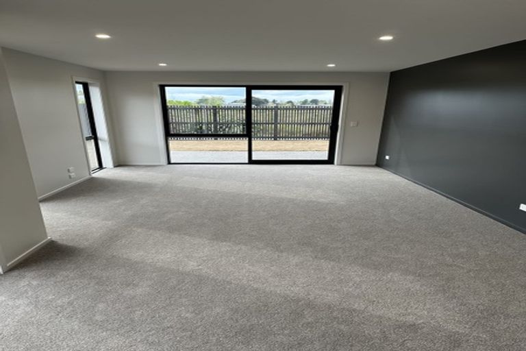 Photo of property in 51 Probert Crescent, Chartwell, Hamilton, 3210