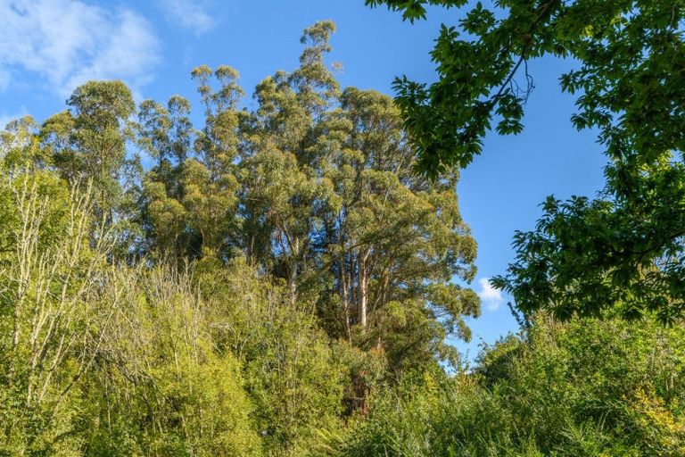 Photo of property in 125 Boscabel Drive, Ohauiti, Tauranga, 3112