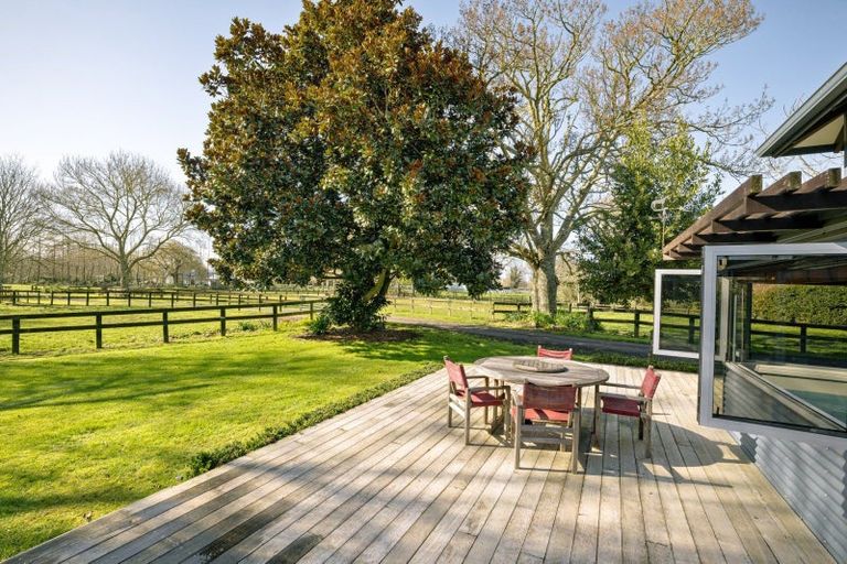 Photo of property in 31 Racecourse Road, Cambridge, 3493