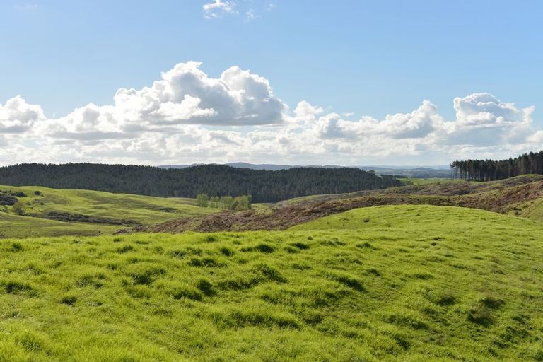 Photo of property in 495 Glenmohr Road, Waipu, 0582