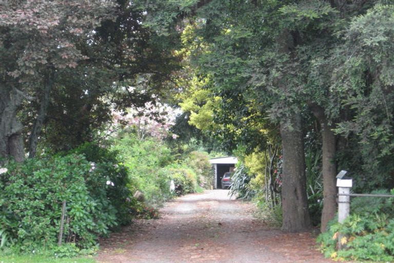 Photo of property in 31 Bridge Street, Opotiki, 3122