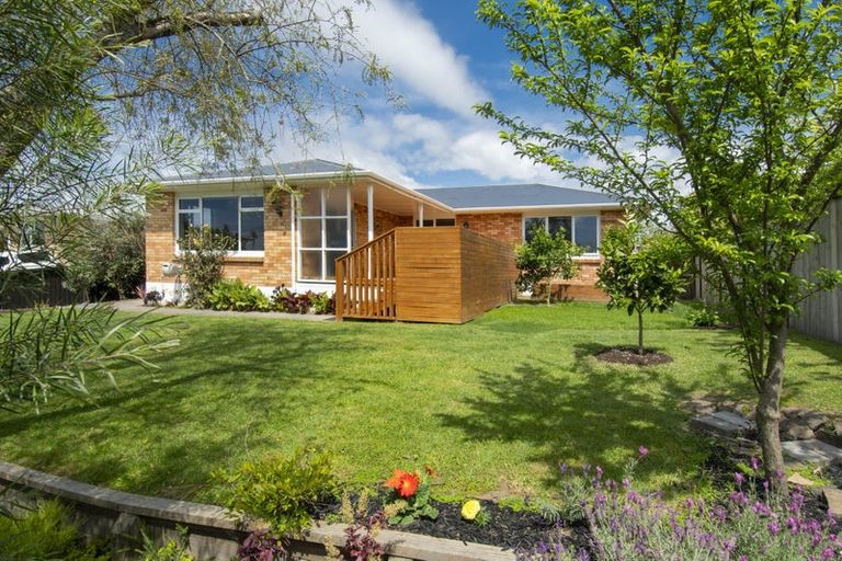 Photo of property in 20 Donovan Street, Te Puke, 3119