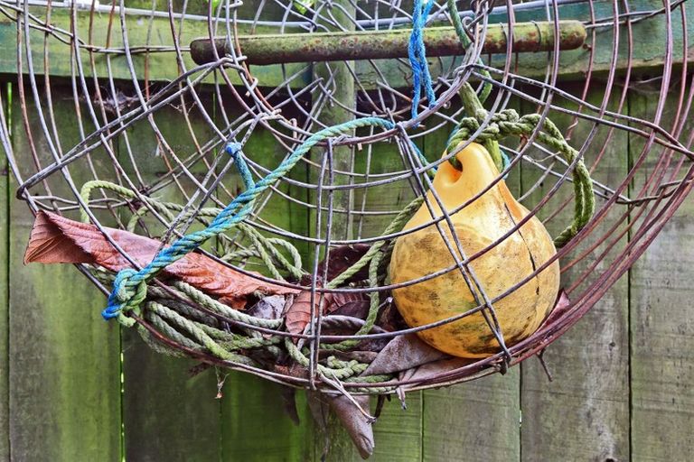 Photo of property in 66 Gillies Crescent, Waimarama, Havelock North, 4294