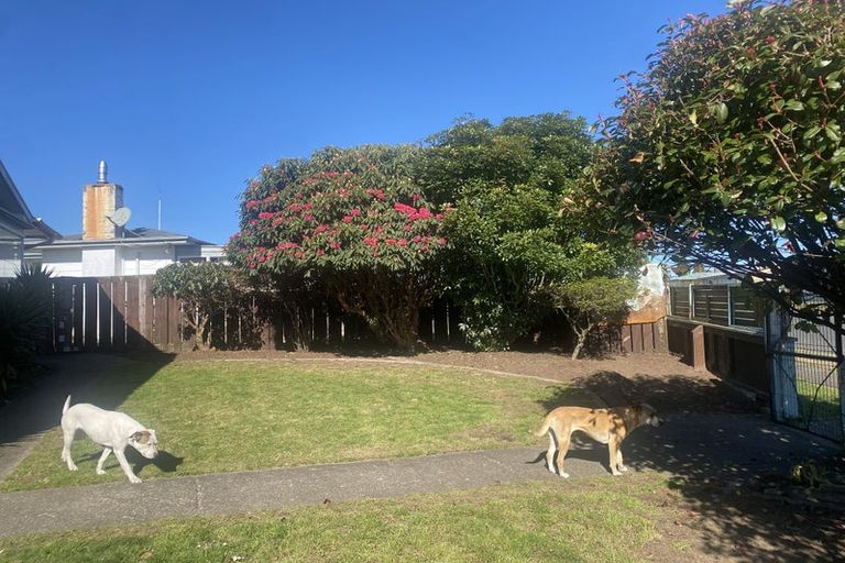 Photo of property in 36 Kaka Crescent, Tokoroa, 3420