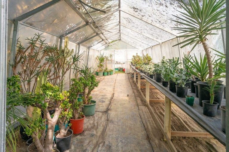 Photo of property in 48 Elizabeth Street, Waikanae, 5036