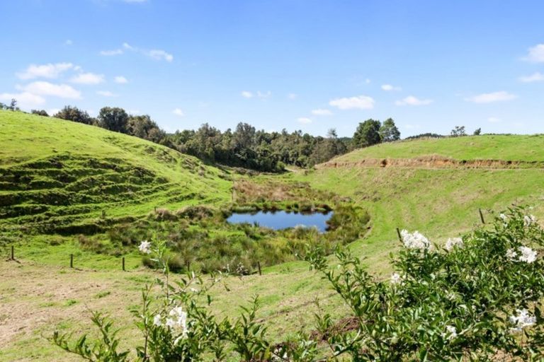 Photo of property in 1155 Stanley Road, Waimana, Opotiki, 3198