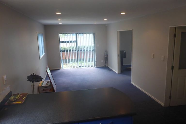 Photo of property in 53a Tauhinu Road, Miramar, Wellington, 6022