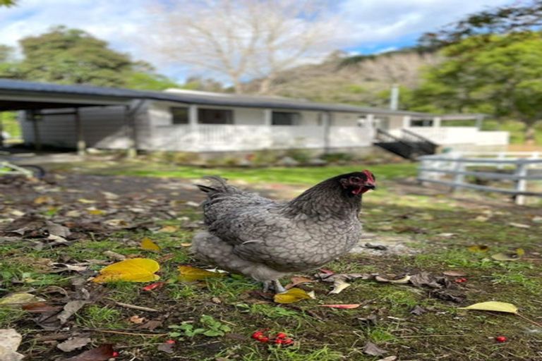 Photo of property in 42 Corbett Drive, Minden, Tauranga, 3176