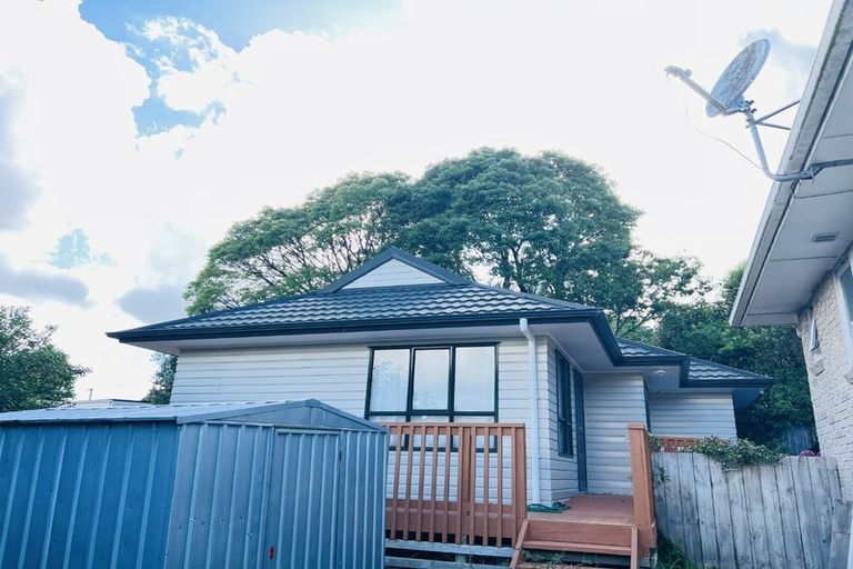 Photo of property in 43 Blease Street, New Lynn, Auckland, 0600