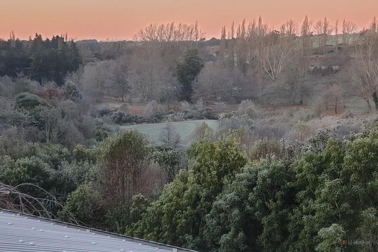 Photo of property in 20 Chaucer Street, Highfield, Timaru, 7910