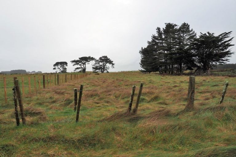 Photo of property in 43 Totara Park Road, Foxton, 4891