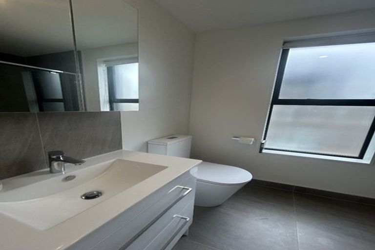 Photo of property in 9e Playfair Road, Mount Roskill, Auckland, 1041