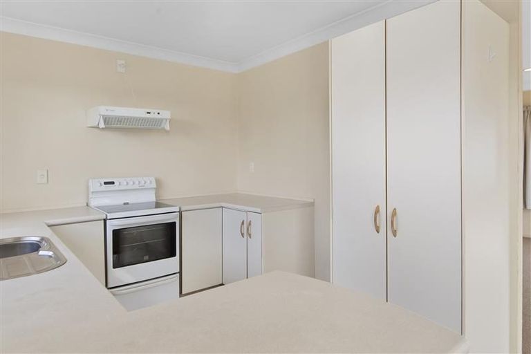 Photo of property in 16b Bristol Avenue, Brookfield, Tauranga, 3110