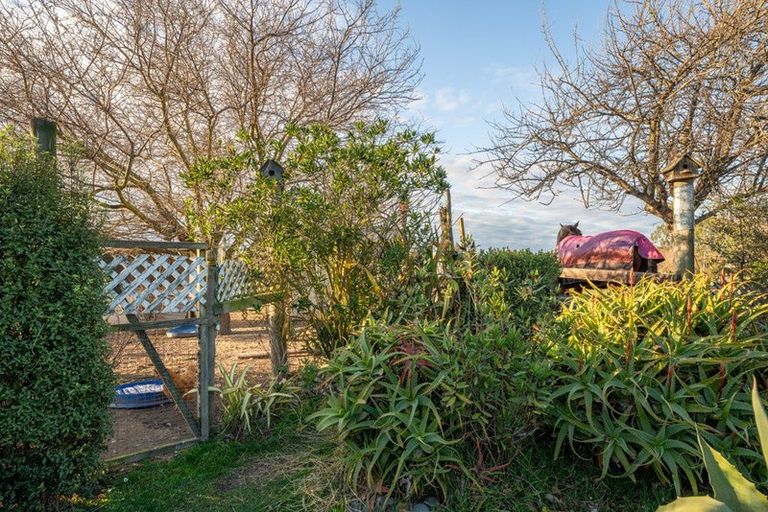 Photo of property in 228 High Street, Waimate, 7924