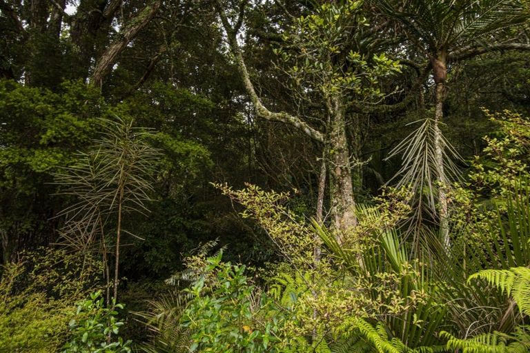 Photo of property in 271 Pigs Head Road, Whakapara, Hikurangi, 0184