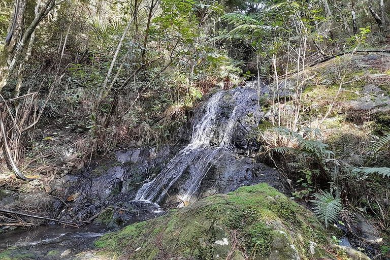 Photo of property in 632a Sawyer Road, Mangonui, 0494