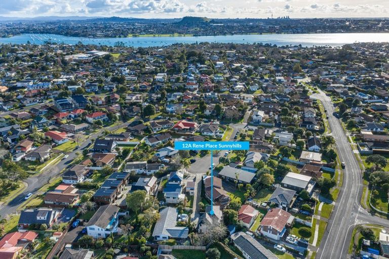 Photo of property in 12a Rene Place, Sunnyhills, Auckland, 2010