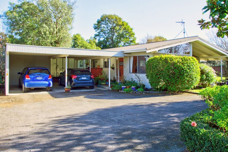 Photo of property in 49b Cornwall Street, Masterton, 5810