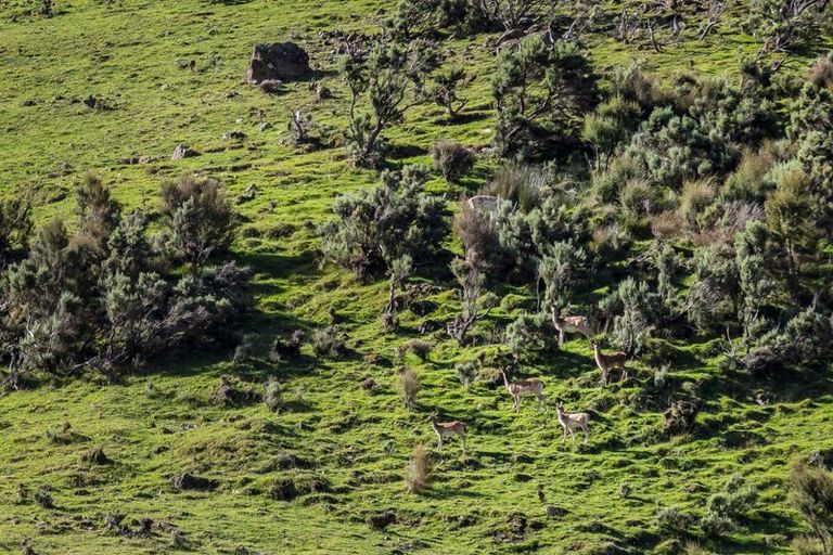 Photo of property in 814 Mikimiki Road, Mikimiki, Masterton, 5881