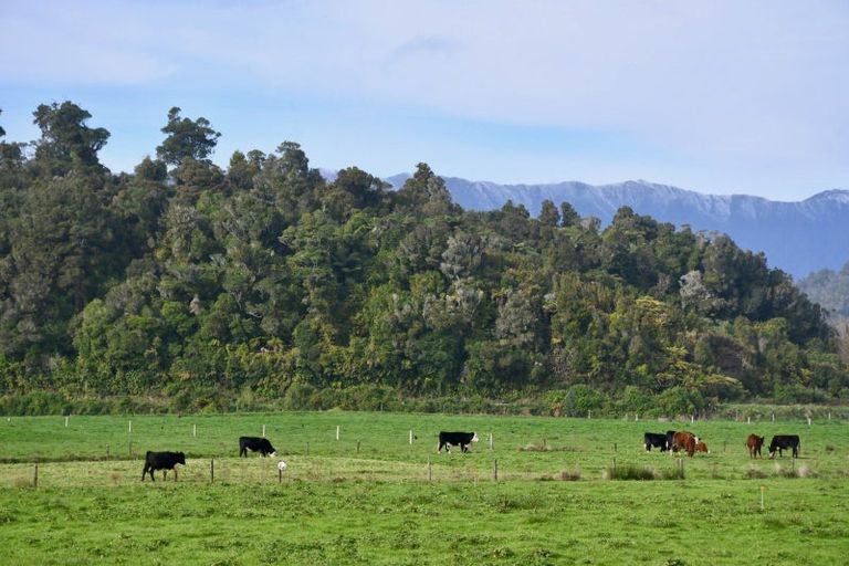 Photo of property in 106 Granite Creek Road, Karamea, 7893