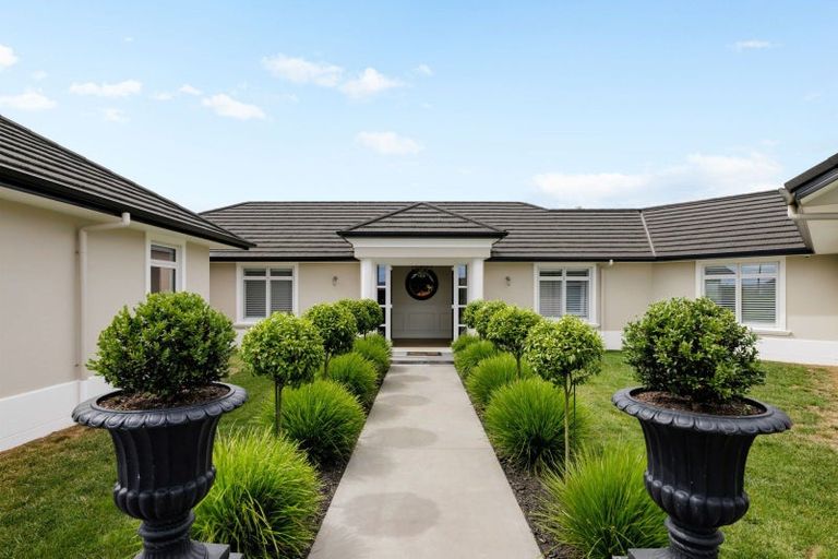 Photo of property in 37 Recite Avenue, Leamington, Cambridge, 3432